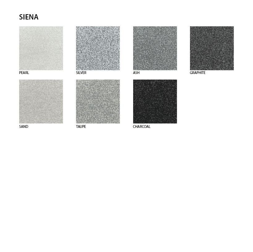 SIENA 3