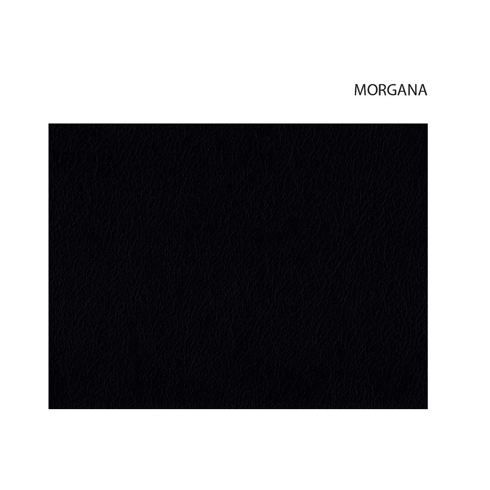 MORGANA 4
